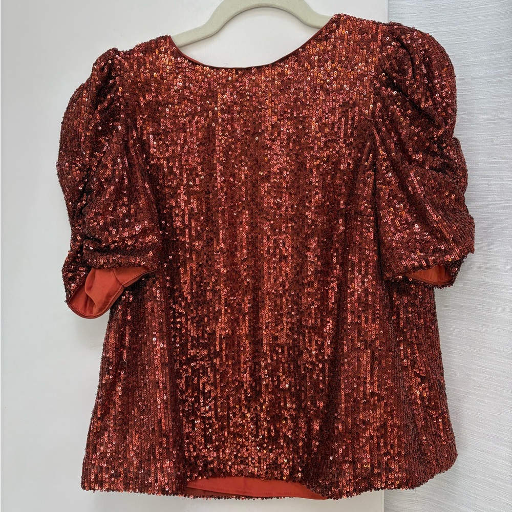 Anthropologie Sequin Puff Sleeve Top